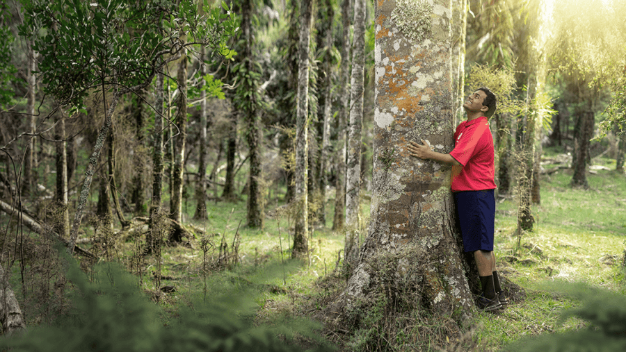 NZ Post courier hugging a tree in a forest
